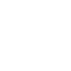 Logo Blanco Skydive Puebla